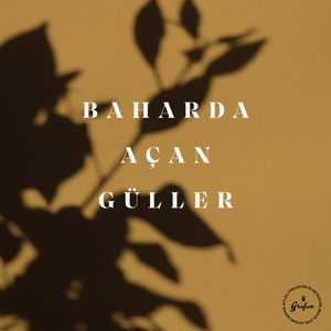 Baharda Açan Güller