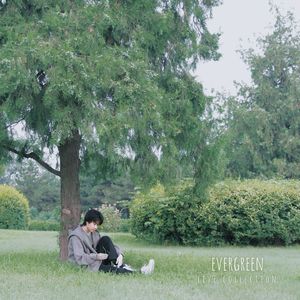 evergreen (live version)