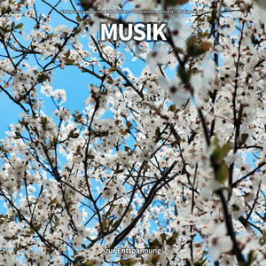 Entspannungsmusik für Meditation