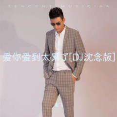 爱你爱到太累了 (DJ沈念版)