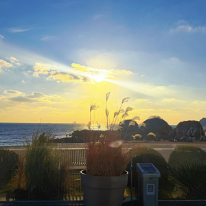 你抱怨夏天太短