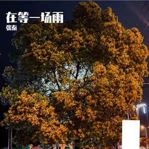在等一场雨