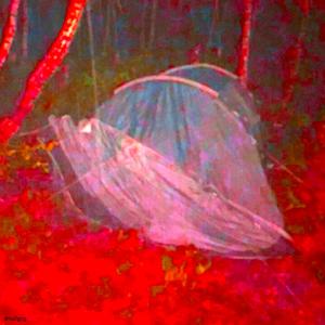 anglia (feat. K-WIZZ)