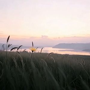 Как скажите такое бывает