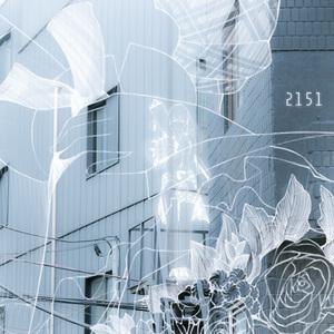 어디서 보아도 희극