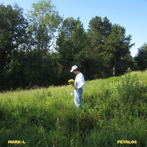 pétalos
