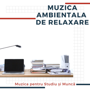 Productivitatea si sa te Concentrezi