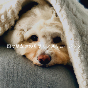 Sultry Music for My Moments