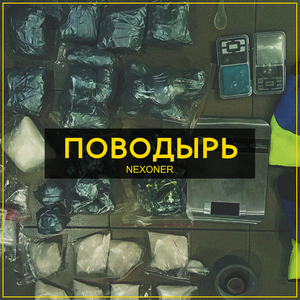 Поводырь