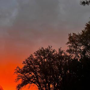 Not everything must change