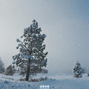 Froggy-应城今年只下了一场雪（TIANZ remix）