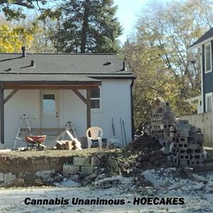 Hoecakes