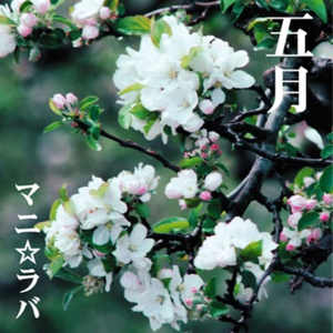 嗚呼 想ひ出 (アコースティックver.)