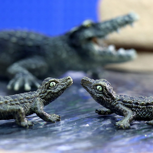 Baby Crocodile Song