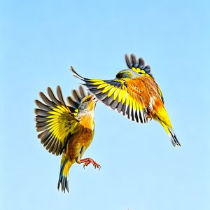 风起时