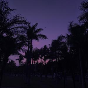 ᴮᵉᶠᵒʳᵉ ˢᵘⁿʳⁱˢᵉ