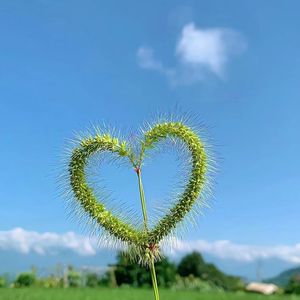 《相见恨晚》整首MMM