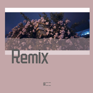 张叶蕾-银河飞车 花落山谷（徐二二 remix）