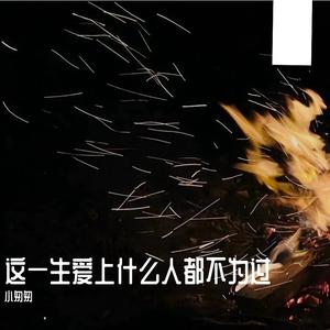 这一生爱上什么人都不为过（完整女版）