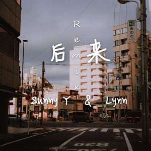 刘若英-后来（SunnyY / Lynn-NNNNNNNN remix）