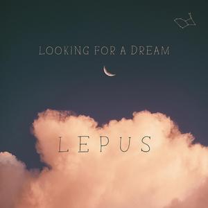Looking for a Dream