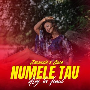 Numele tau