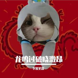 龙鸣过破晓激昂