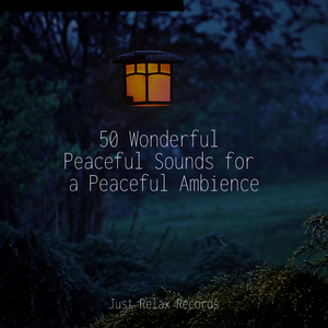 Insanity's Musical Retreat