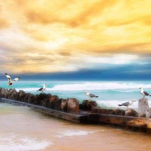 暴风雨,海浪,海风,海鸟(自然环境音)