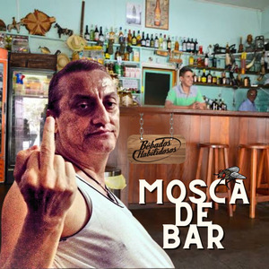 Mosca de Bar