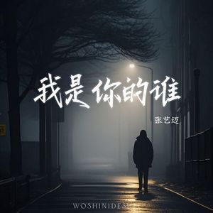 我是你的谁 (伴奏)