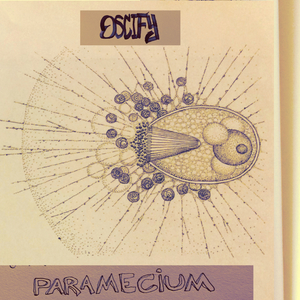 Paramecium