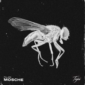 Mosche