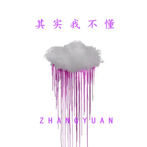其实我不懂