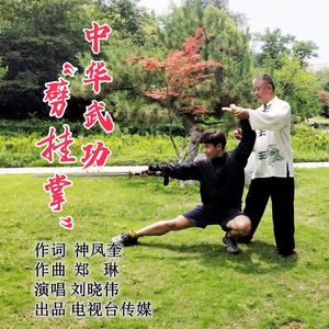 中华武功“劈挂掌” （伴奏）