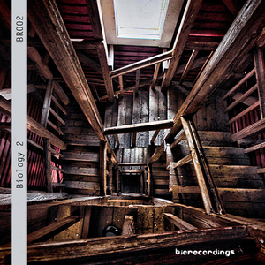 Aechmea (Original Mix)