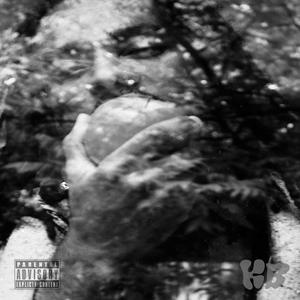 U.L.T.R.A. V.I.O.L.E.N.C.E