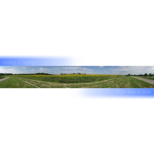 Day Two: Laying in the Grass Reading the Bible