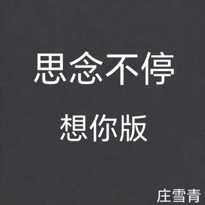 思念不停 想你版 (纯音乐版)