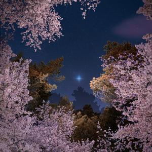 Den underjordiska gången, Karmafallet, Katlagrotten och jakten på Grim och Fjalar