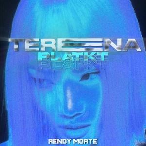Terena PLAT KT
