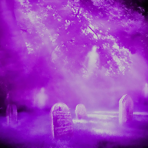 I Will Meet You At The Graveyard (Phonk) (feat. g3ox_em, Pharmacist & Tokyomane )