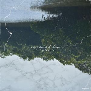 hippopotamus (feat. kirukusu)