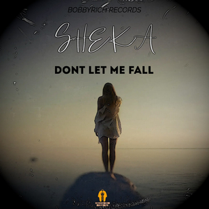 Don't Let Me Fall