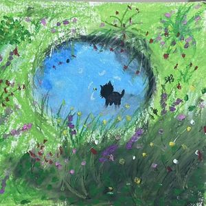 晚风遇星光 伴奏