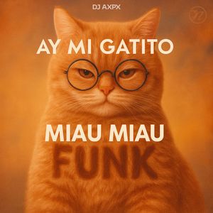 AY MI GATITO MIAU MIAU FUNK