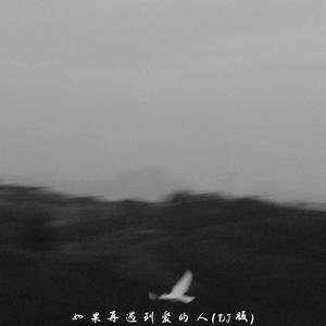 如果再遇到爱的人 (Dj版)