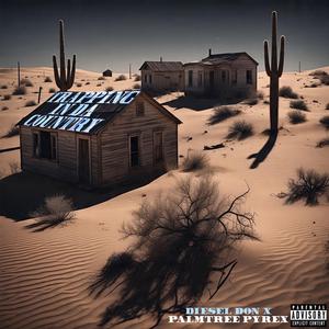 Trapping in Da Country (feat. Palmtree Pyrex)