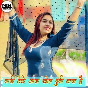 गाडी लेके आजा खोल दुंगी नाडा है