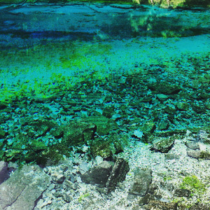 Alcohol&Sad(Feat.StopRainYoung)